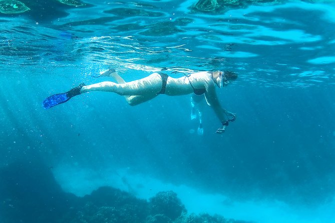 Full-Day Snorkeling with Dolphins in Hurghada with Lunch - Is $15 good value for a full day?