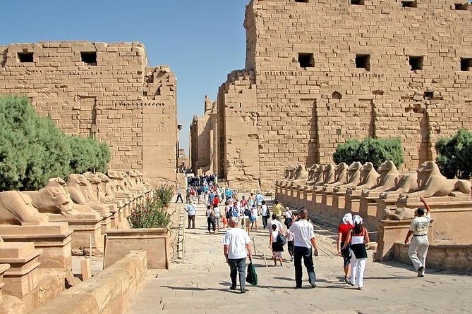 Full-Day Tour to East and West Banks - Luxor Temple after the larger complex