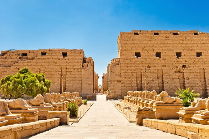 Full Day Tour to East and West Banks of Luxor - Lunch, shopping stops, and keeping control of the day