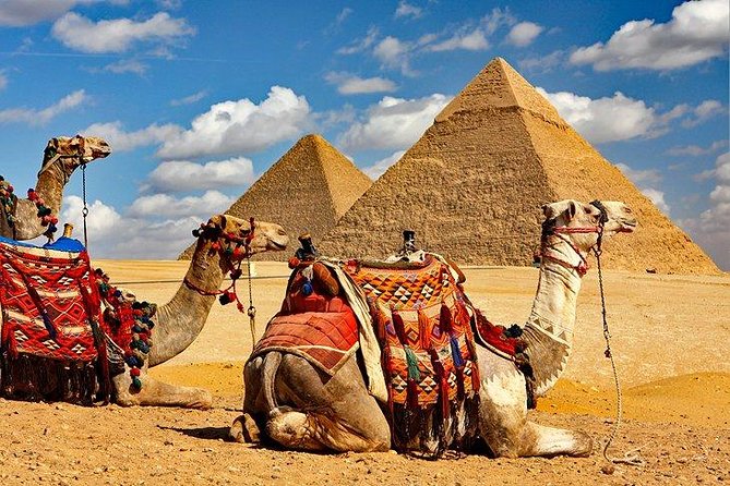 Full Day Tour to Pyramids of Giza, Saqqara Step Pyramids & Sound and Light Show - Meeting the Great Sphinx