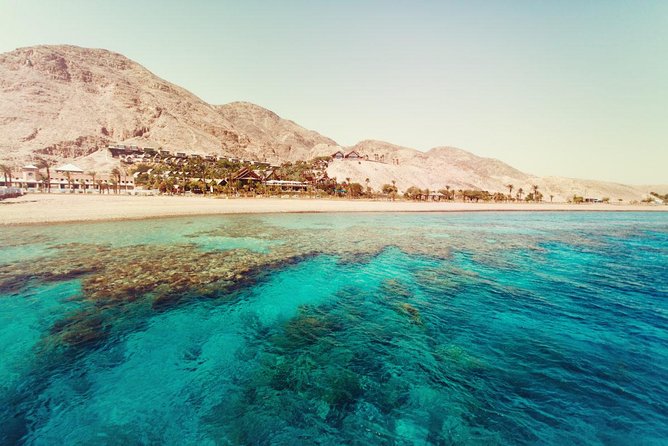 Full Relaxing Day To The Red Sea From Cairo Or Giza Hotel - Lunch served by the water