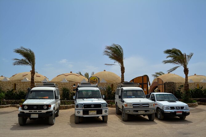 Fun Safari ATV, Buggy Car and Dinner, Show-Hurghada - Pickup, timing, and the four-hour schedule