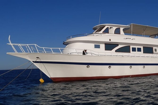 Giftun Islands Snorkeling Trip with Lunch and Water Activities - The crew and the feel of the boat
