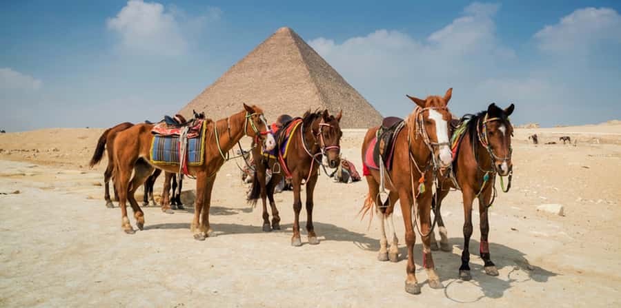 Giza: Arabian Horse Tour Around the Giza Pyramids - Riding toward the Great Sphinx