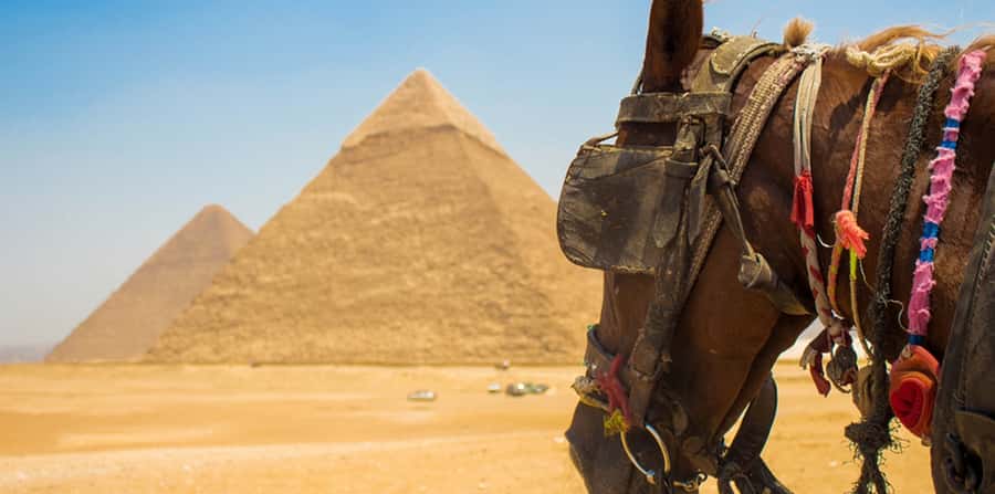 Giza: Arabian Horse Tour Around the Giza Pyramids - Who should choose this two-hour ride?