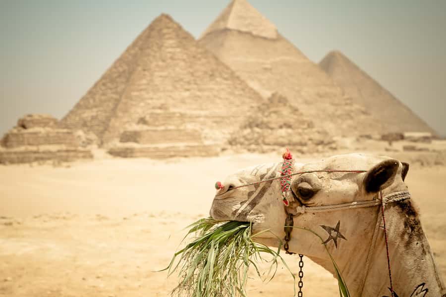 Giza Pyramids and Sphinx: Half-Day Private or Group Tour - Chephren and Mykerinos: the other two pyramids