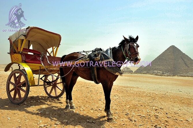 Giza Pyramids, Saqqara, Memphis and Dahshur Private quality trip - Saqqara and the Step Pyramid of Djoser