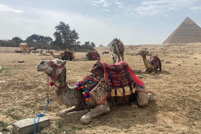 Giza Pyramids,Sphinx,Camel Ride,ATV Bike,Shopping, Dinner cruise - Shopping with a little caution