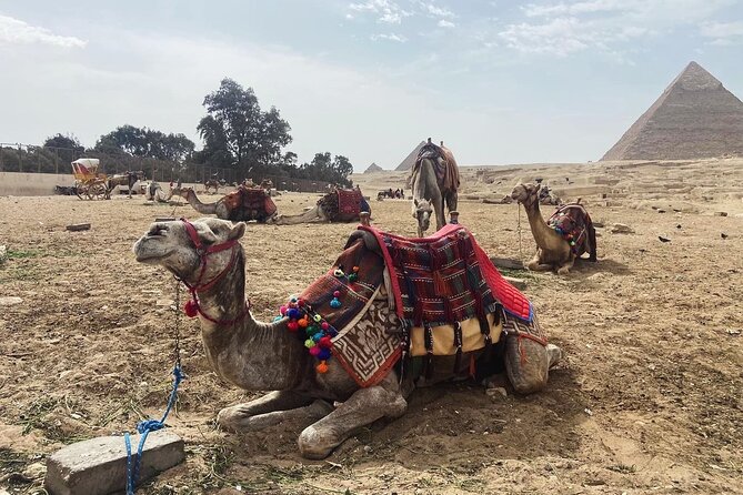 Giza Pyramids,Sphinx,Camel Ride,ATV Bike,Shopping, Dinner cruiseI - Dinner, music, and views on the Nile