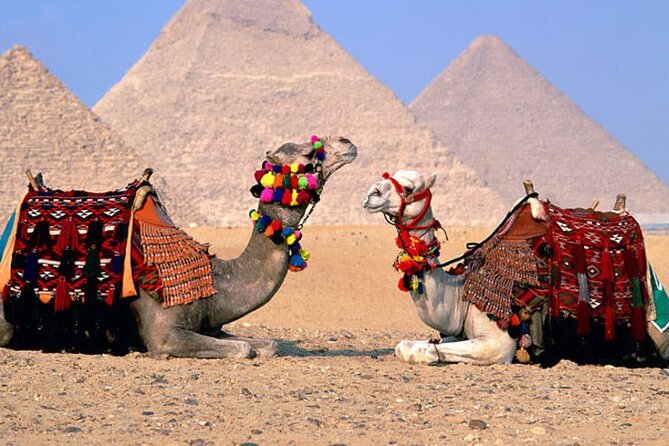 Giza Pyramids, Sphinx, Memphis, Saqqara, with private tour guide - The Sphinx and Valley Temple