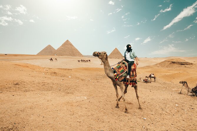 Giza Pyramids , Sphinx ,Saqqara and Memphis Private Tour - Seeing Memphis through the statue of Ramses II