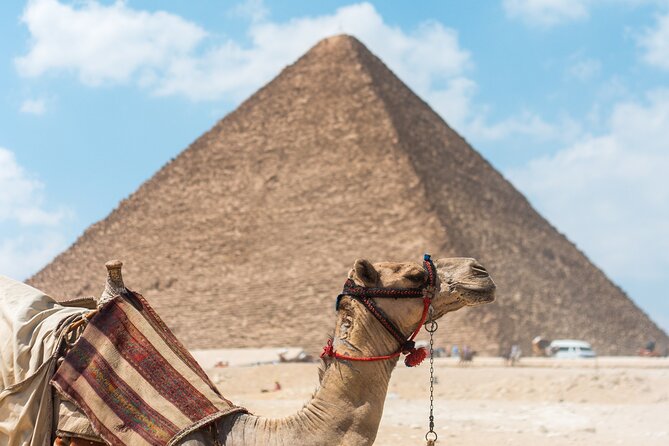 Giza Pyramids, The Egyptian Museum And Cairo Citadel-Mohamed Ali Mosque- Private - The Great Sphinx and Valley Temple