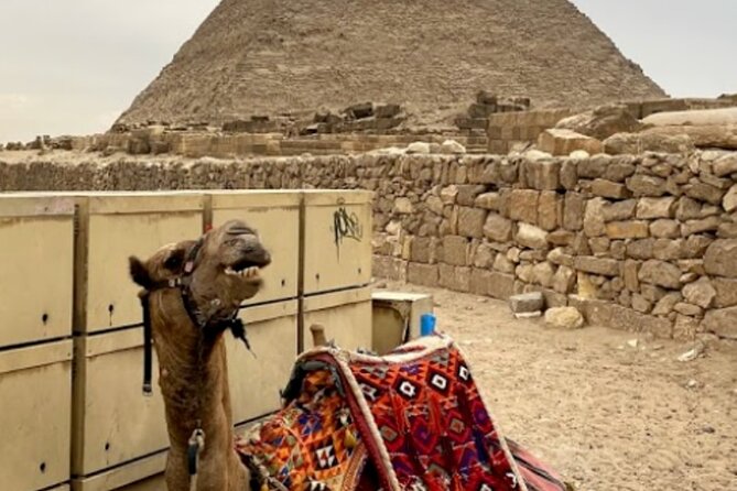 Giza Pyramids, The Egyptian Museum And Cairo Citadel-Mohamed Ali Mosque- Private - The Egyptian Museum and Its 5,000 Years of Art