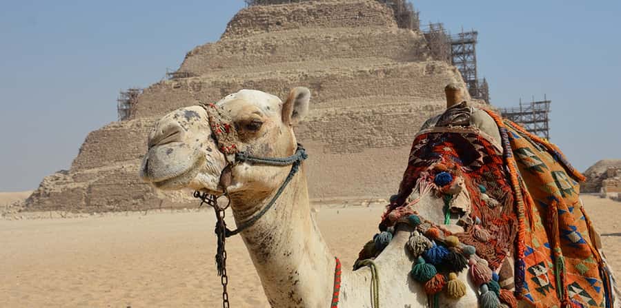 Giza: Sakkara, Memphis & Dahshur (Pyramid & Felucca Options) - Shared or private: which format fits you?