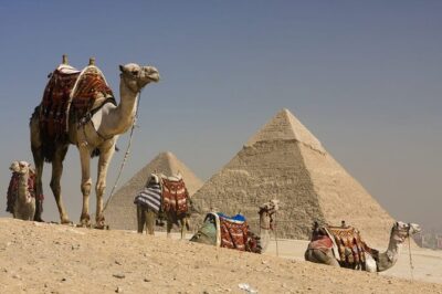 Grand Egyptian Museum All Inclusive Tour
