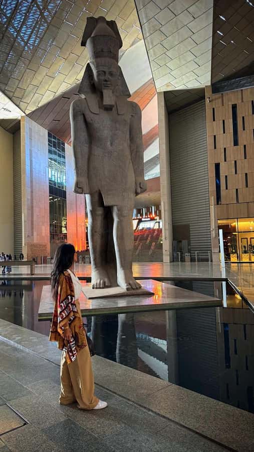 Grand Egyptian Museum Private Guided Tour(GEM) - Twelve galleries and 5,000 artifacts