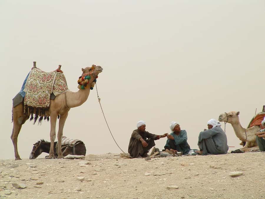 Half-Day Cairo Sightseeing Tour to Pyramids of Giza & Sphinx - Hotel pickup and the Cairo-to-Giza ride