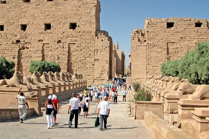 Half Day East Bank Tour to Luxor and Karnak Temples (Private) - What the guide adds to the monuments