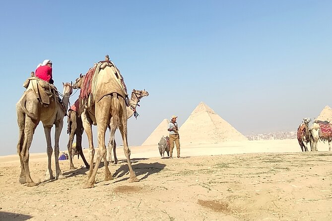 Half day Giza pyramids and Sphinx tour with an Egyptologist - Meeting the Great Sphinx and Valley Temple