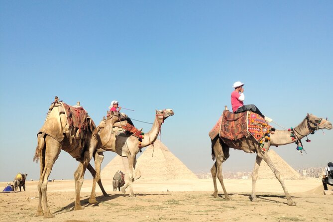 Half day Giza pyramids and Sphinx tour with an Egyptologist - What the private format changes