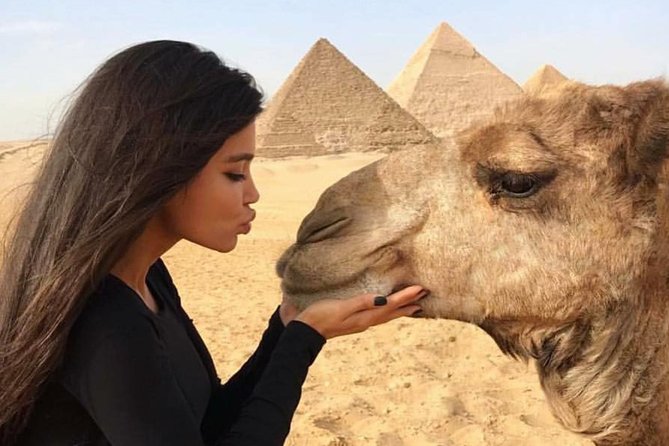 Half Day Private Tour to Giza Pyramids Sphinx - What the $8 tour really includes