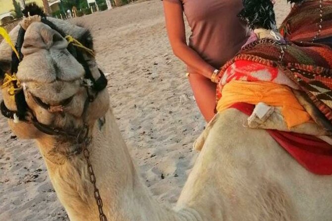 Half Day Quad Bike Adventure and Camel Ride in Beduion Camp - Hotel pickup and the short ride to the desert