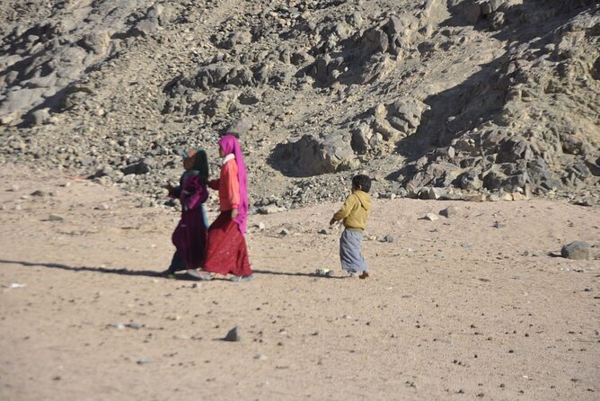 Half Day Quad Bike Adventure and Camel Ride in Beduion Camp - What the $11.61 price really buys you