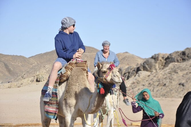 Half Day Quad Bike Adventure and Camel Ride in Beduion Camp - Choosing morning, afternoon, or sunset