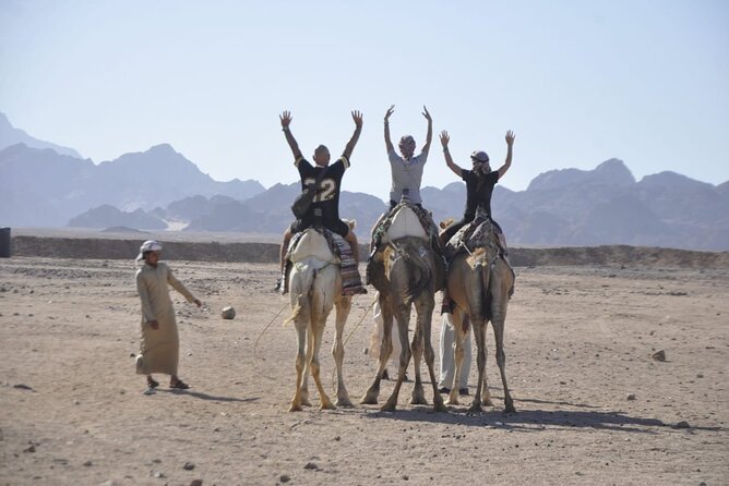 Half Day Quad Bike Adventure and Camel Ride in Beduion Camp - What to wear and pack
