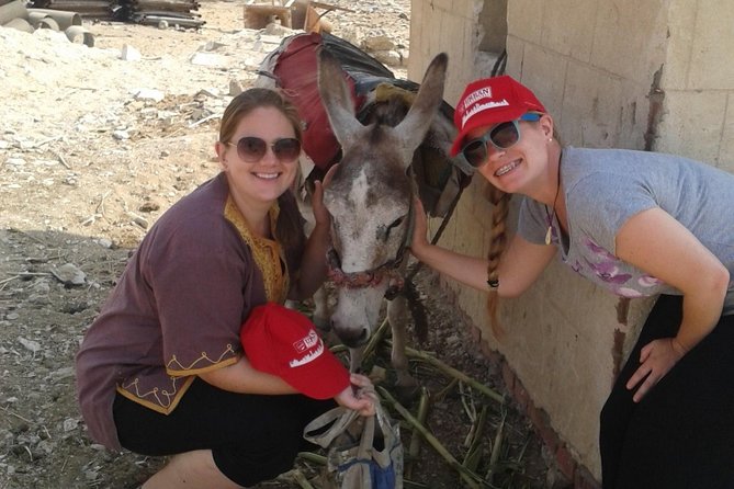 Half-Day Saqqara Pyramids and Memphis Tour from Cairo - How the four-hour schedule works