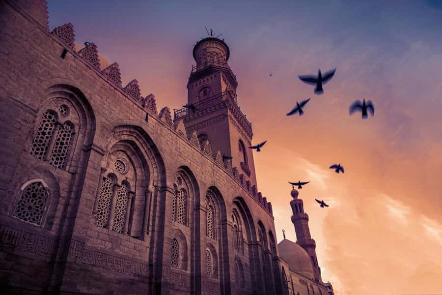Half Day Tour: El Moez Street, Al Azhar Park and Bazar - Why this half-day route works