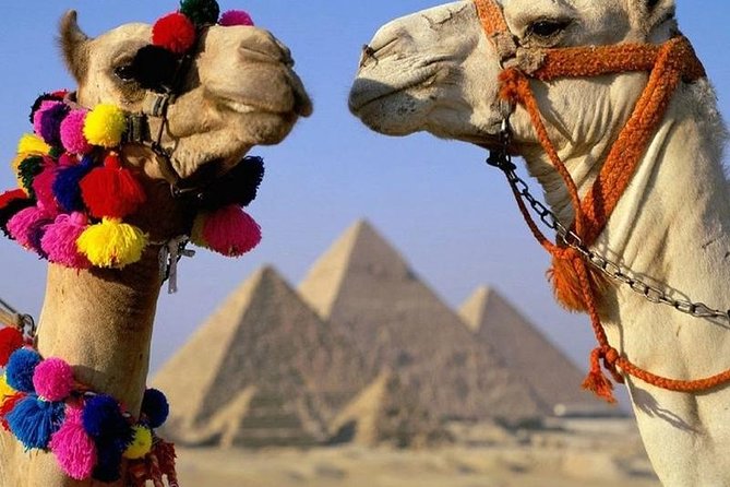 Half Day Tour to Giza Pyramids & Sphinx - Meeting the Three Pyramids at Giza