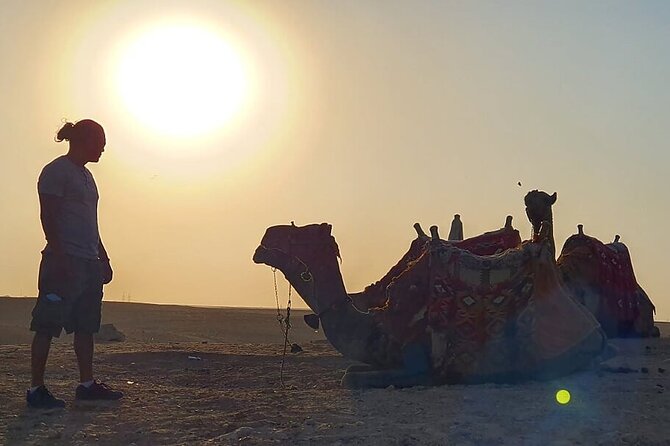 Half-day Trip to Pyramids and the Sphinx with Camel ride - Lunch and the ride back to Cairo