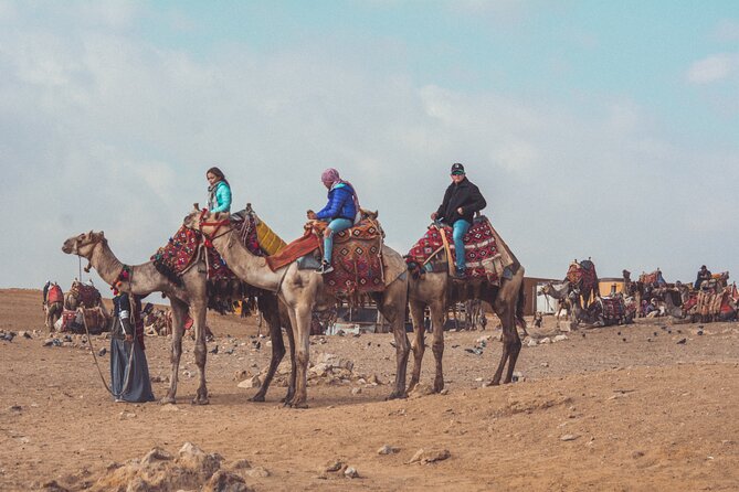 Horse or Camel Ride in Giza Pyramids - Choosing between a horse and a camel