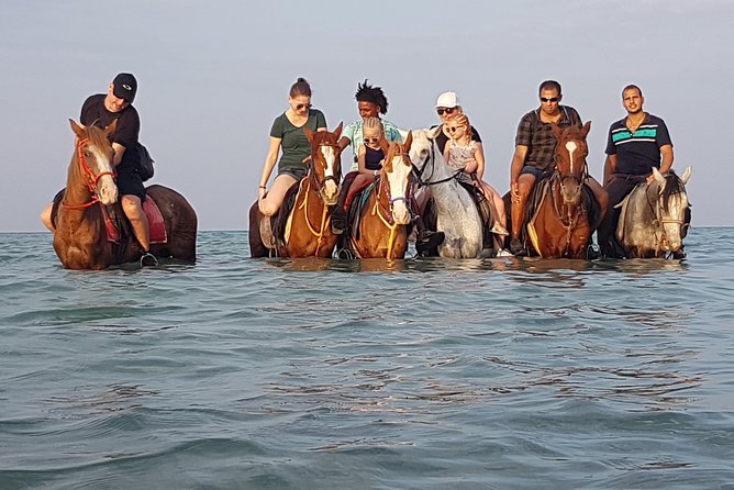 Horse Riding 3 Hours Beach, Desert, & Swimming By Horse in red sea - Hurghada - Hotel pickup makes the morning easier
