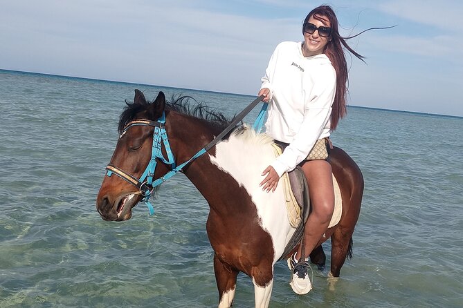 Horse Riding on the Beach And Desert 3 hours From Hurghada - From your Hurghada hotel to the stable