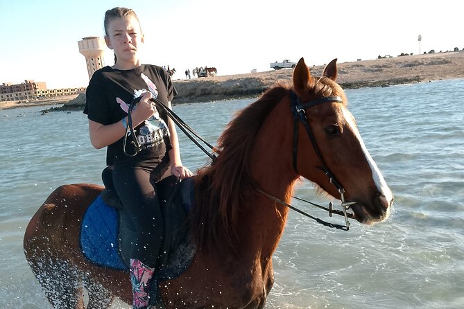 Horse Riding on the Beach And Desert 3 hours From Hurghada - Reaching the beach and Red Sea