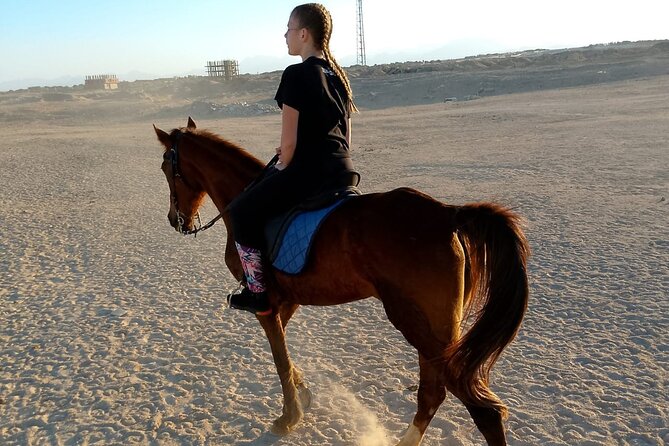 Horse Riding on the Beach And Desert 3 hours From Hurghada - What the $23 price really covers