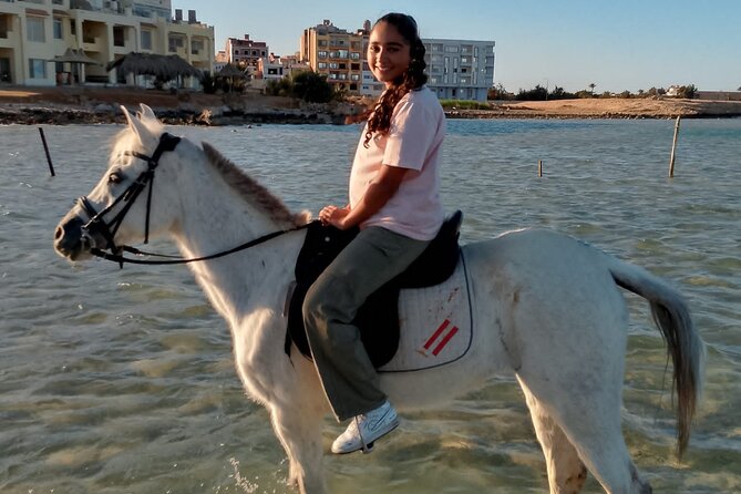 Horse Riding on the Beach And Desert 3 hours From Hurghada - Who will enjoy this ride most?