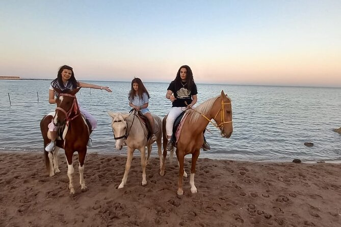 Horse Riding on the Beach And Desert 3 hours From Hurghada - Timing, comfort, and small choices that matter