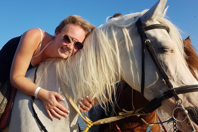 Horse Riding Tour 2 Hours on Sea And Desert & Transfer -Hurghada - Key points before you book