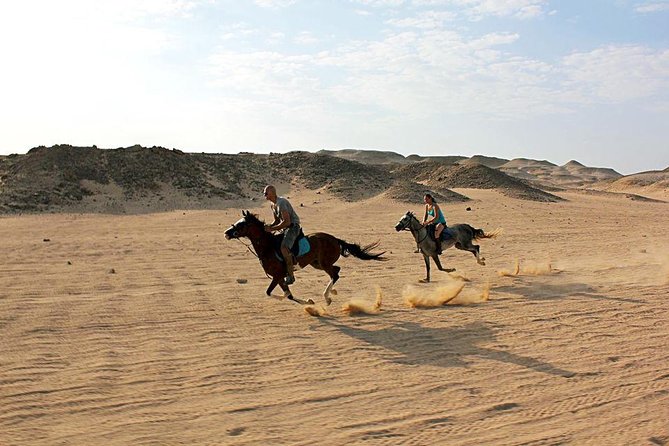 Horse Riding Tour 2 Hours on Sea And Desert & Transfer -Hurghada - Guides, pace, and group size