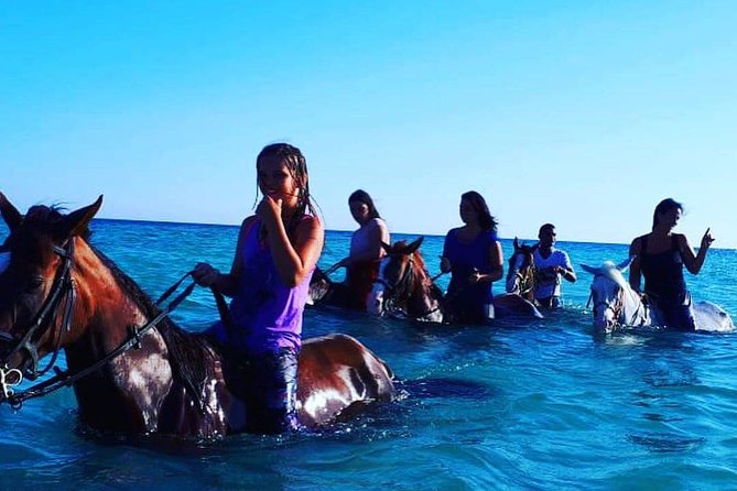 Horse Riding Tour 2 Hours on Sea And Desert & Transfer -Hurghada - Horse welfare is the key question