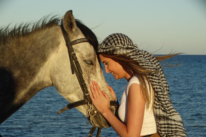 Horse Riding Tour 2 Hours on Sea And Desert & Transfer -Hurghada - What the $14 price really buys