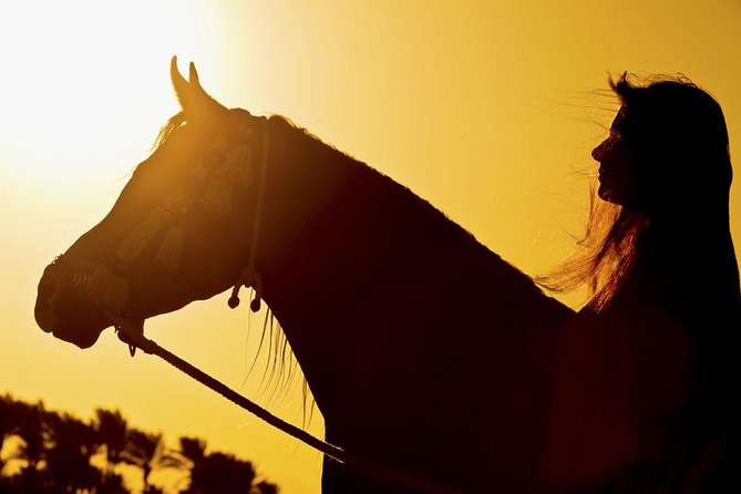 Horse Riding Tour 2 Hours on Sea And Desert & Transfer -Hurghada - Who should book this ride?