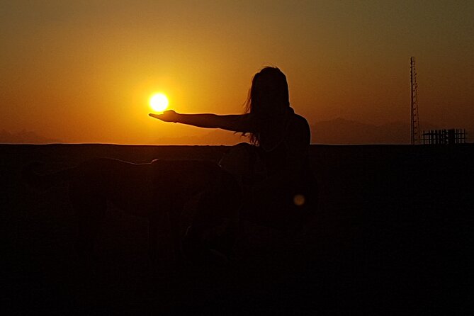 Horse Riding Tour 2 Hours Sea And Desert with Transfer - Hurghada - Key points to know before booking
