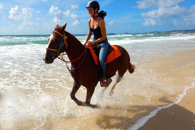 Horse Riding Tour 2 Hours Sea And Desert with Transfer - Hurghada - Hotel pickup and the start of the outing