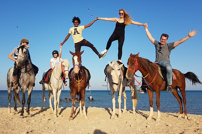 Horse Riding Tour 2 Hours Sea And Desert with Transfer - Hurghada - The sea ride and what makes it memorable