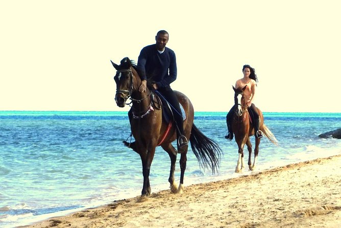 Horse Riding Tour 2 Hours Sea And Desert with Transfer - Hurghada - Family suitability and group atmosphere