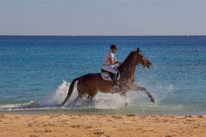Horse Riding Tour 2 Hours Sea And Desert with Transfer - Hurghada - What the $15 price really offers